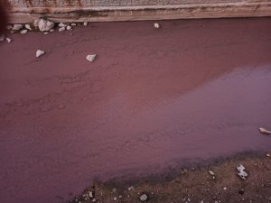 Harşit Çayındaki Kırmızı Rengin Sebebi Belli Oldu
