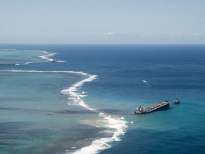 Mauritius’daki Petrol Felaketine Karşı Halk Saçlarını Bağışlıyor