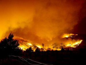 Los Angeles Yakınlarında Korkutan Orman Yangını