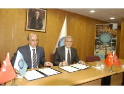 Çilek İle Üniversite İşbirliği