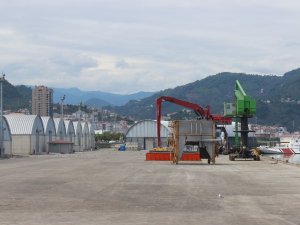 Giresun’dan İhracat Bir Önceki Yıla Göre Yüzde 36 Arttı