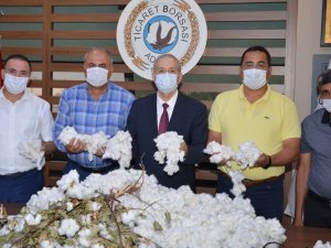 Sezonun İlk Kütlü Pamuğu Atb’de 55 Liradan Satıldı
