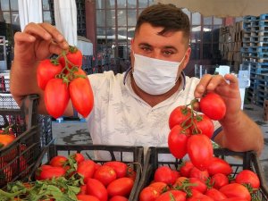 Domates Bol Olunca Fiyatı Düştü