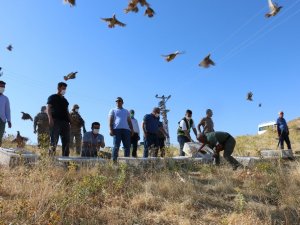 Siirt’te Doğaya 750 Kınalı Keklik Bırakıldı