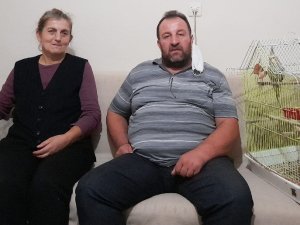 Kayıp Papağanını Getirene Bin Lira Ödül Verecek