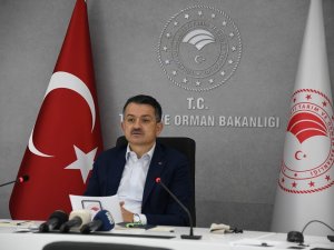 Bakan Pakdemirli Tigem Tohum Bayileri Toplantısında Konuştu