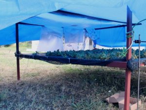 Fındık İçin Borsa-üniversite İşbirliği