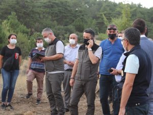 Bakan Pakdemirli: “Nemin Az Olmasından Dolayı Bütün Ormanlarımız Çıra Gibi”