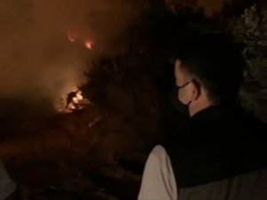 Bakan Pakdemirli, Yanan Alanları İnceledi