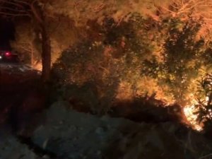 Hatay’daki Yangına Karşı Ateş Tekniğiyle Müdahale Edildi