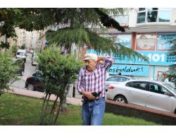 Kargalar Vatandaşlara Saldırdı