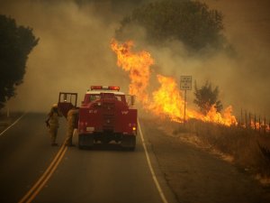 California’daki Yangınlar Nedeniyle 5 Bölgede Acil Durum İlanı