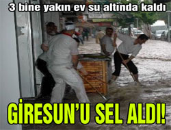Giresun'da bin araç ve 3 bin ev sular altında