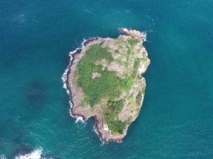 Ordu’nun Kuş Cenneti: “Hoynat Adası”