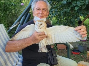 Dedelerinin Evinde Buldukları Bitkin Haldeki Peçeli Baykuş’u Besleyip Doğaya Bıraktılar