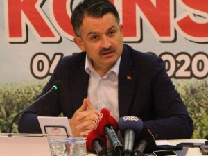 “16,4 Milyon Tl Lisanslı Depo Desteği Ödemesi Cuma Günü Yapılacak”