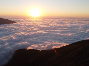 Artvin’de Nopapeni Yaylası Bulut Deniziyle Ziyaretçilerini Büyülüyor