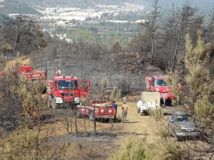 Yangının Korkunç İzleri Gün Işığıyla Ortaya Çıktı