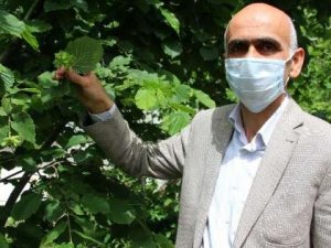 Giresun Ziraat Odası Başkanı Karan’dan Sanayicilere "Fındık Fiyatını Yükseltin" Çağrısı