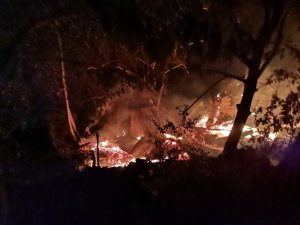 Artvin’in Yusufeli İlçesinde Yangın