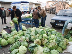 Pancar Üretimi Yüz Güldürecek