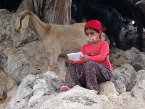 Yörük Kızı Gülsüm Şifa, Derslerini Artık Canlı Takip Edebilecek