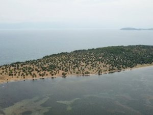 Hülya Avşar’ın Ada Satın Alacağı Yalanlandı