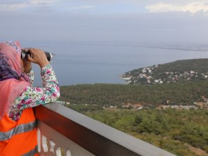 İstanbul Ormanları 15 Yıldır Büyükada’dan Hatun Ablaya Emanet