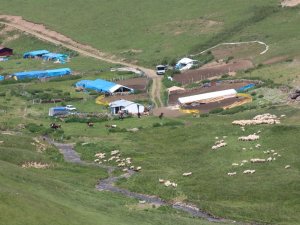 Yaylacılık Kültürünü Araştırıyorlar