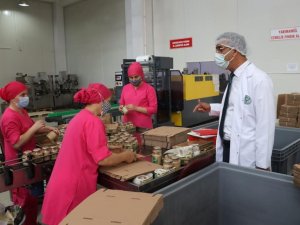 Fındık Tarım Satış Kooperatifleri Birliği’nin (Fiskobirlik) İhracat Ve Üretim Kapasitesi Artıyor