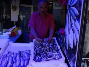 Trabzon’da Hamsi Tezgâhtaki Yerini Aldı