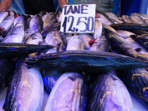 İstanbul’un Balığı Trabzon’dan