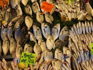 Hamsinin Fiyatı Dudak Uçuklatan Cinsten