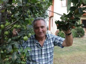 Ayva Ağacında Ayvadan Başka Her Meyve Var