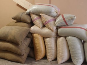 Giresun’dan Eylül Ayı İçerisinde 33 Bin 471 Ton Fındık İhraç Edildi