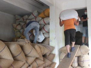 Eylül Ayı İçerisinde 33 Bin 471 Ton Fındık İhraç Edildi