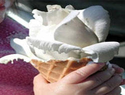 Dondurma çocukları hasta eder mi?