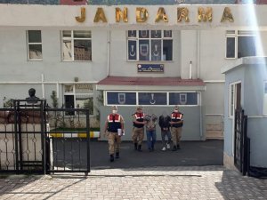 Hırsızlar Jandarmadan Kaçamadı