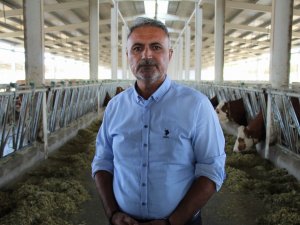Gurbeteyken Tarım Ve Hayvancılık İçin Türkiye’ye Döndü