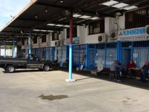 Bu Balık Sezonunda İlk Defa Yaşandı