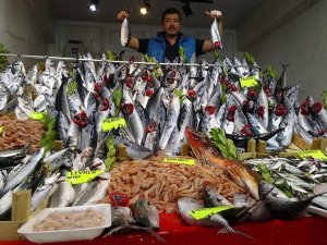 Tezgahlardaki Palamut Fiyatı 25 Liraya Yükseldi
