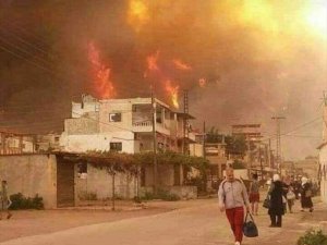 Suriye’deki Orman Yangınları Söndürülemiyor: 2 Ölü, 70 Yaralı