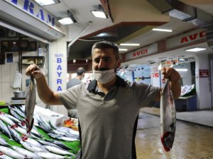 Palamut Borsayla Yarışıyor, Tezgahlarda 20 Liradan Alıcı Buldu