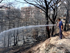 Hatay’da Yanan Ağaçlar Soğutuluyor
