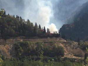 Artvin’in Murgul İlçesinde Örtü Yangını
