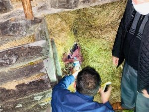 Giresun’da Kaybolan Kadın Jandarma Tarafından Bulundu