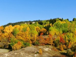Sakin Şehir Şavşat’ın Sonbahar Güzelliği