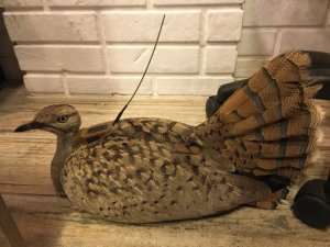 Onun Adı Artık ’Lazize’