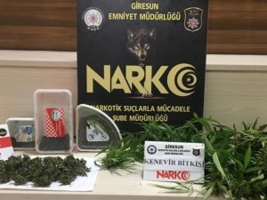 Giresun’da Uyuşturucu Operasyonunda 1 Kişi Tutuklandı