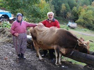 Bu Aile Her Şeyini ’Devlet’e Borçlu